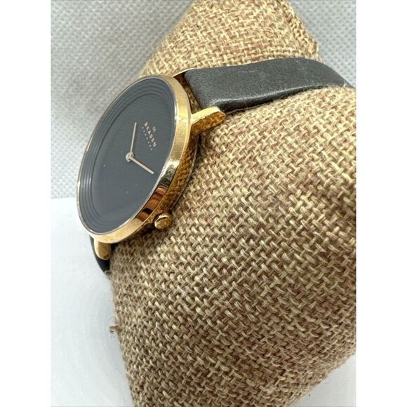 Skagen Ditte SKW2216 Women\'s Gray Leather Analog Dial Quartz Wrist Watch JNA1000 main image 7